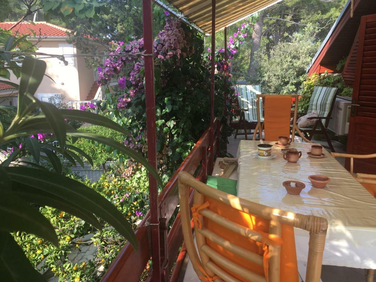 Apartmani Matas Petrčane Extérieur photo
