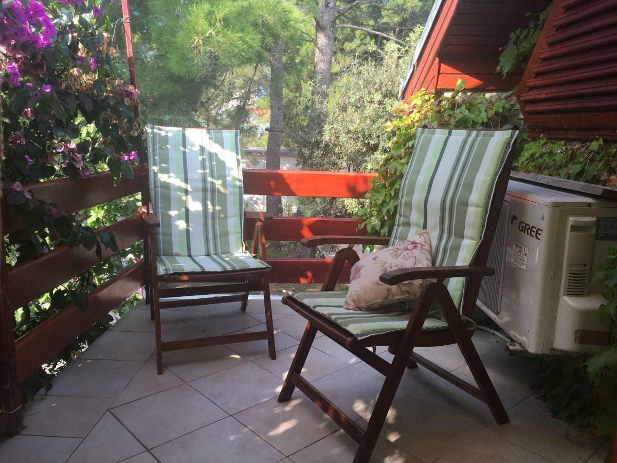 Apartmani Matas Petrčane Extérieur photo