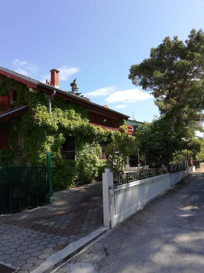 Apartmani Matas Petrčane Extérieur photo